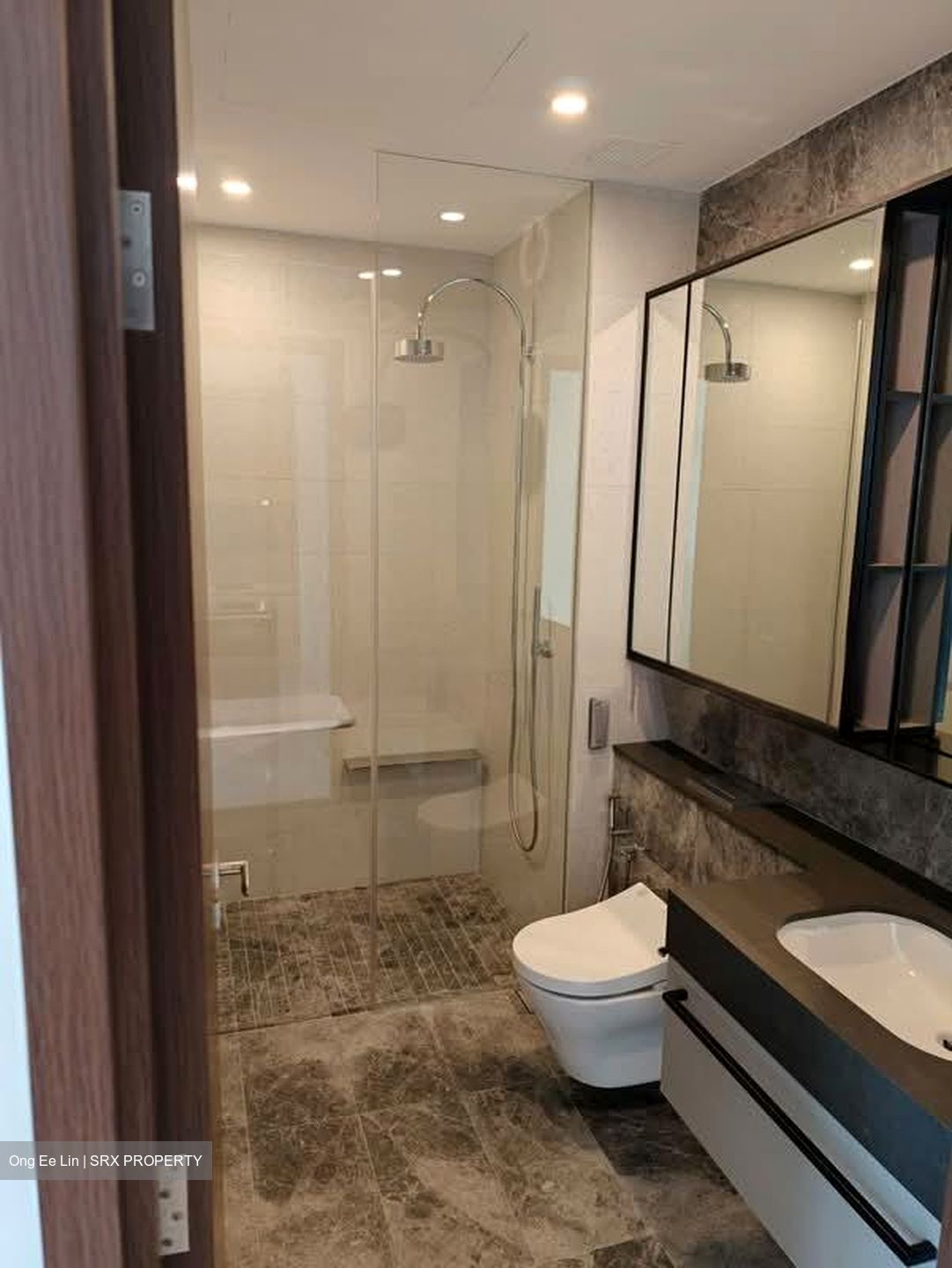 Parksuites (D10), Apartment #603754321